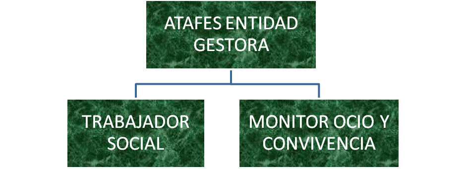 Organigrama Centro de Ocio y Convivencia