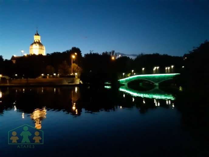 ILUMINACION PUENTE LAGO DE LA ALAMEDA DIA MUNDIAL DE LA SALUD MENTAL